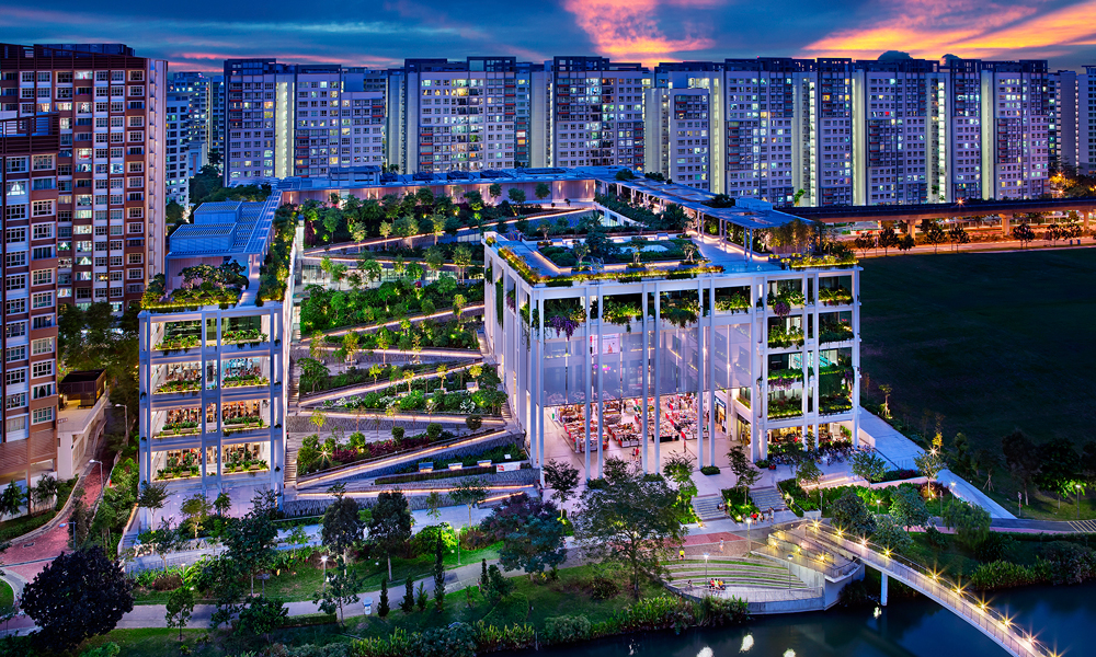 新加坡被称为“花园城市”，中国建筑旗下中建南洋承建的绿洲台（OASIS TERRACES）再塑狮城邻里新中心，定义生活新姿态。绿洲台位于新加坡榜鹅市镇，毗邻榜鹅水道生态公园。五层空间，七位一体，揽括绿植花园、社区广场、教育设施、医疗中心、商业布局、组屋规划、地铁交通。