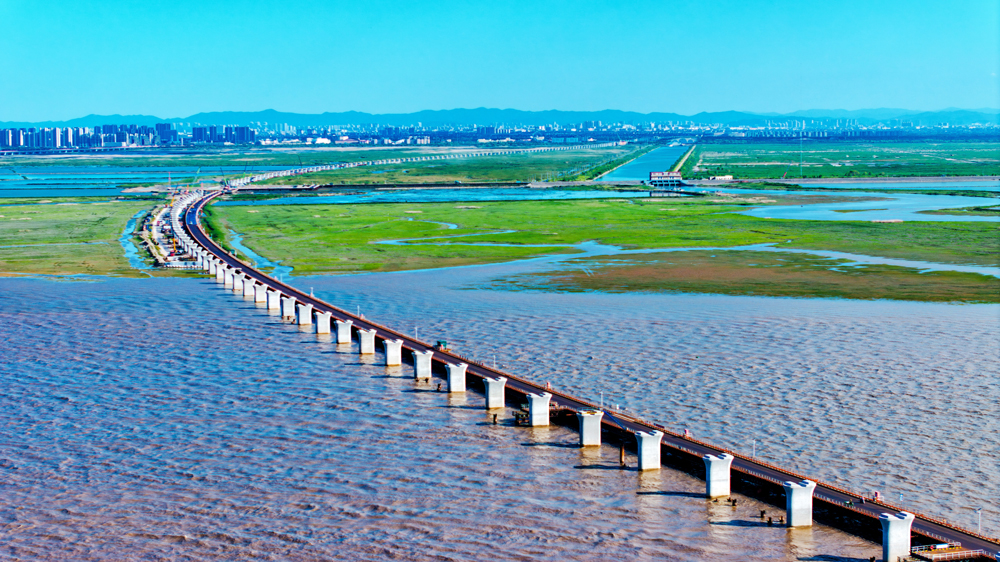 目前，全桥总体进度已经过半，计划2027年底具备通车条件。