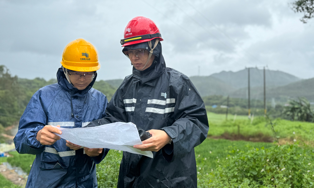 南方电网广东东莞东南区供电局工作人员进行现场勘探，确认受损情况并制定修复方案。