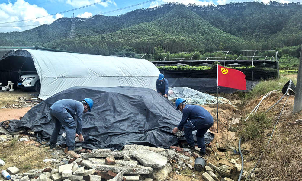 南方电网超高压公司广州局肇庆工作站成立青年突击队，开展防风防汛特巡，800千伏普侨直流线路附近的飘挂物进行加固。