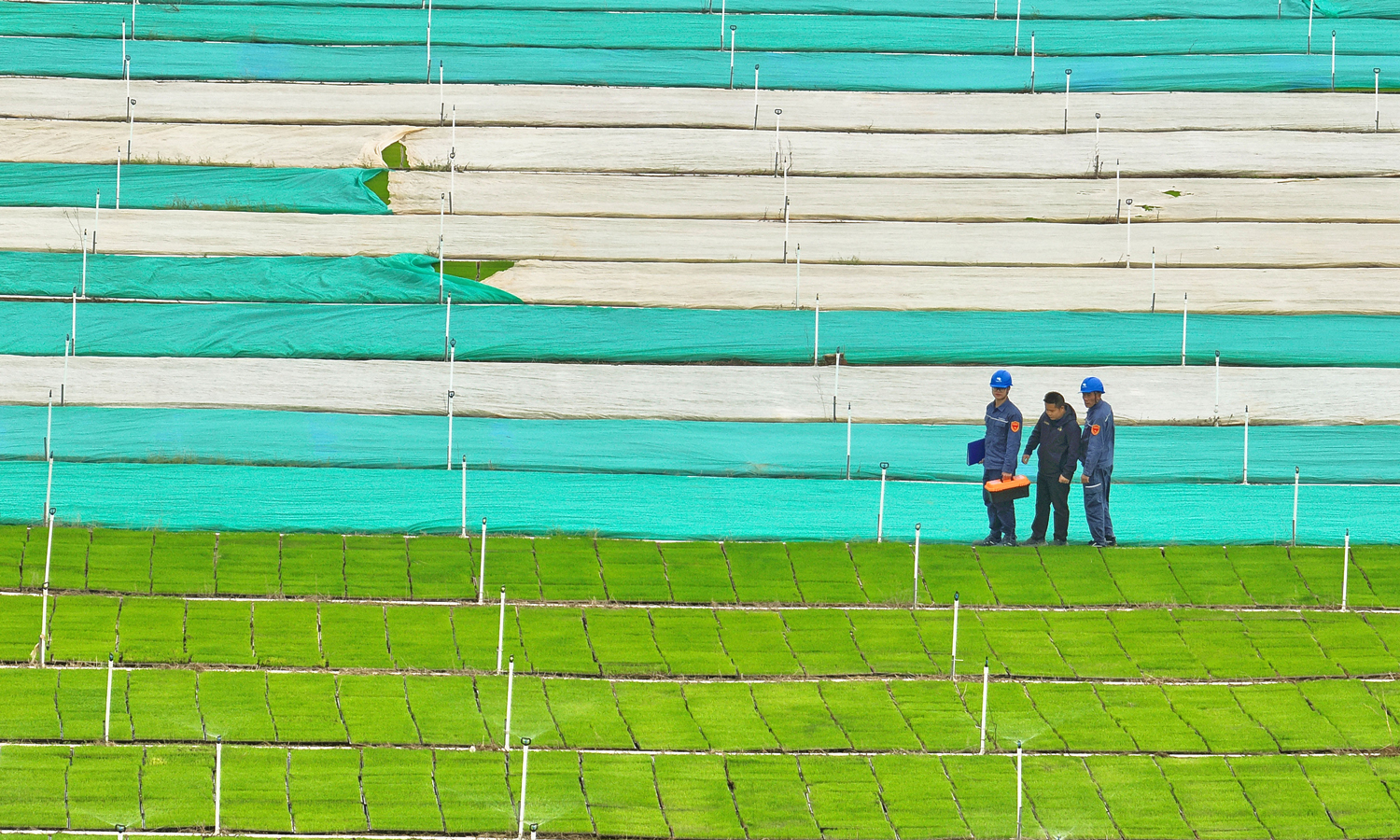 在广西南宁，电力人员走进育秧基地，开展用电检查、精准摸排用电需求。