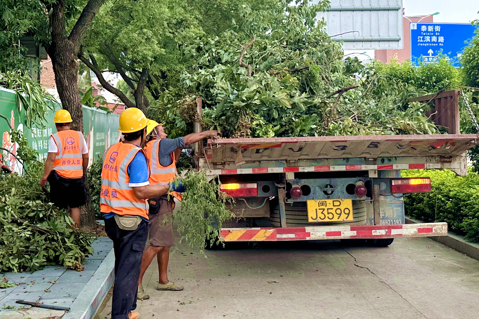 6.中铁十局城轨公司清除路面树木.jpg